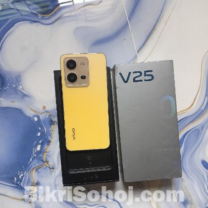 VIVO V25 5G